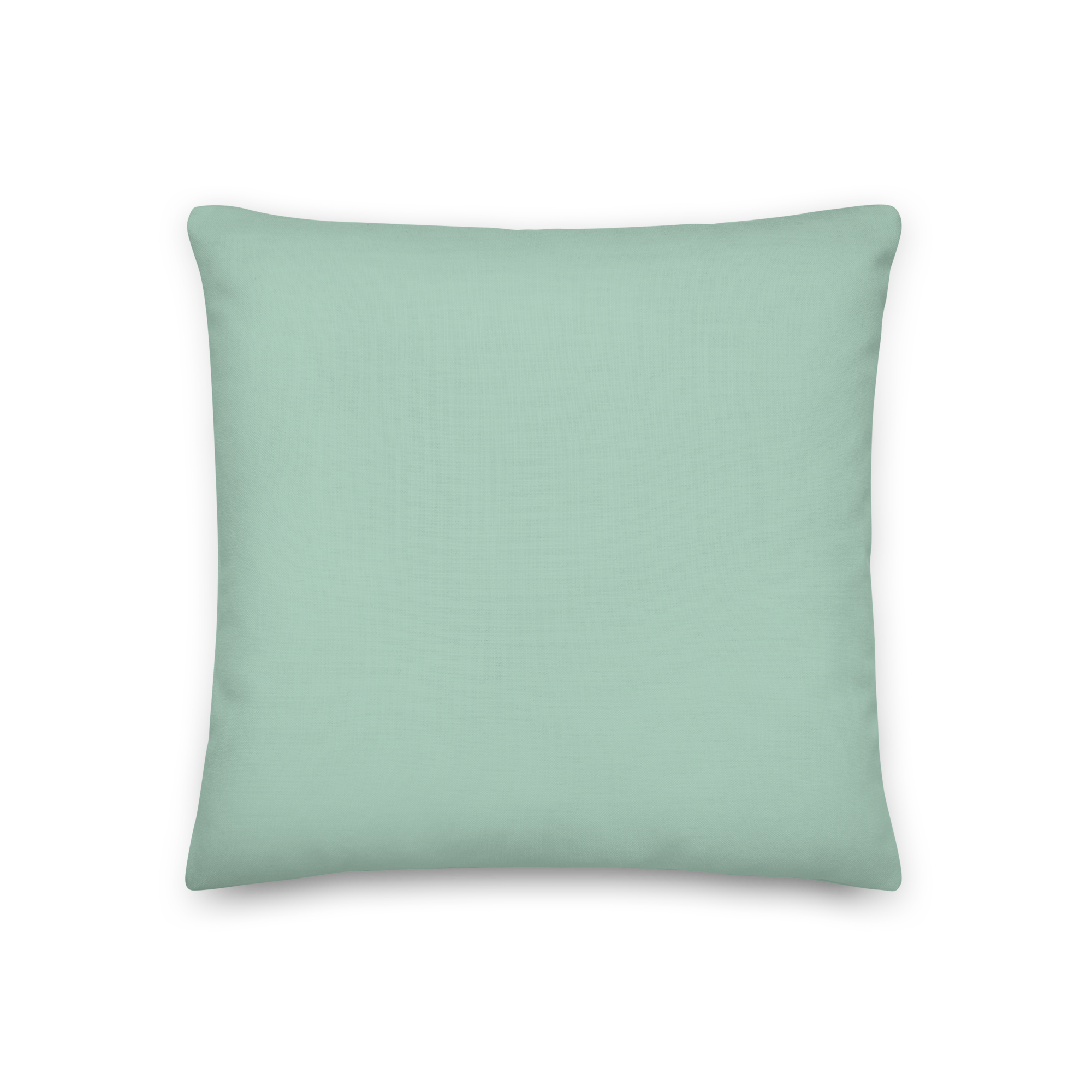 all-over-print-premium-pillow-18x18-front-67cc2e9dc8059.png