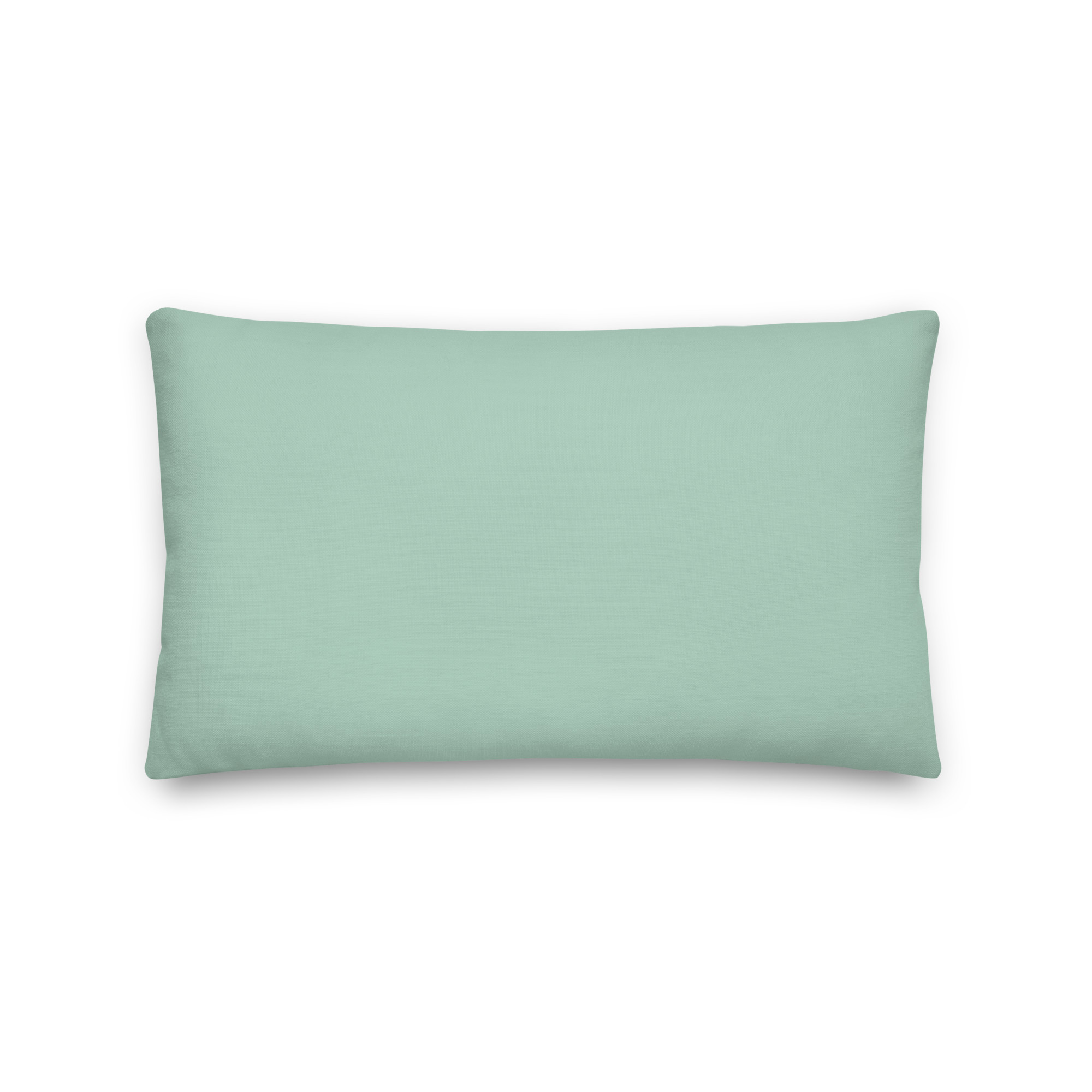 all-over-print-premium-pillow-20x12-back-67cc26b8da820.jpg