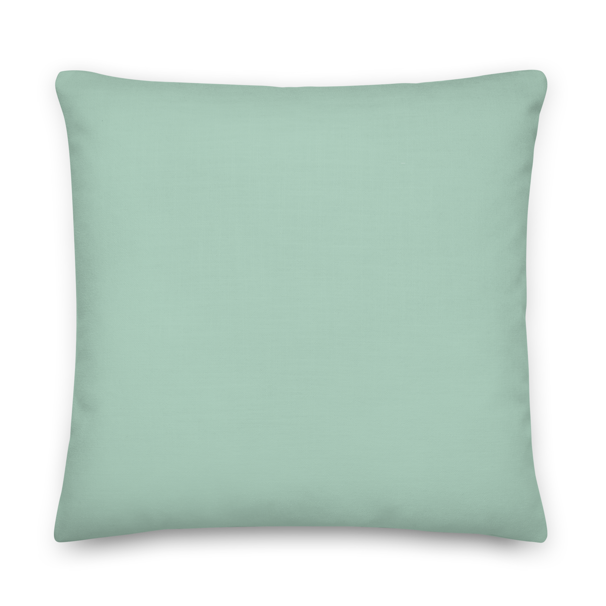 all-over-print-premium-pillow-22x22-front-67cc2e9dc73e7.png